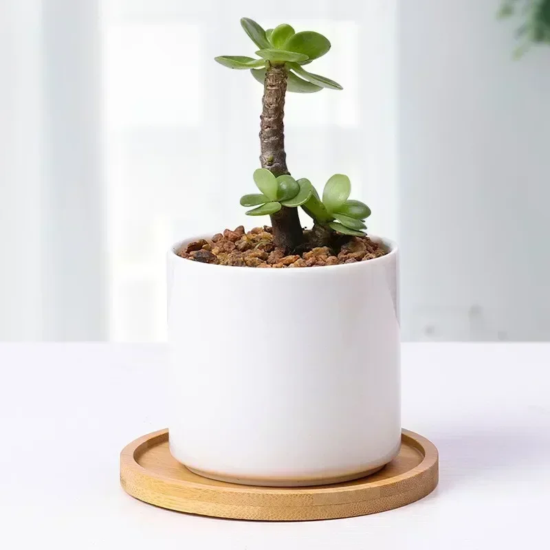 Multi Bamboo Tray Wood Saucer Flower Pot Tray Cup Pad Coaster Plate Kitchen Decorative - Image 5